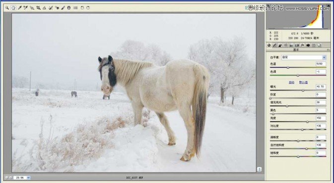Photoshop调出冬季里很有意境的雪景效果,PS教程,图老师教程网