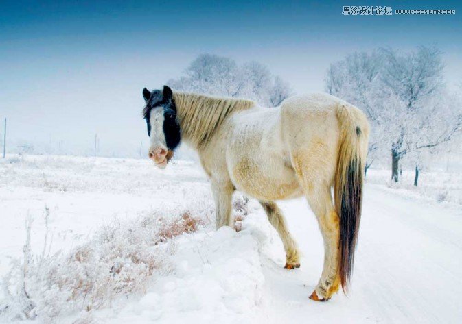 Photoshop调出冬季里很有意境的雪景效果,PS教程,图老师教程网