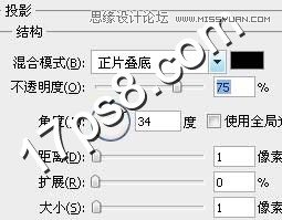 Photoshop设计精致会员登录表单教程,PS教程,图老师教程网