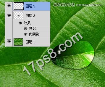 Photoshop绘制绿叶上面的透明水滴效果,PS教程,图老师教程网