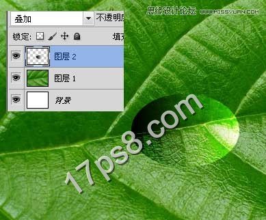 Photoshop绘制绿叶上面的透明水滴效果,PS教程,图老师教程网