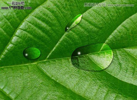 Photoshop绘制绿叶上面的透明水滴效果,PS教程,图老师教程网