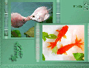 Photoshop˶Ч̳