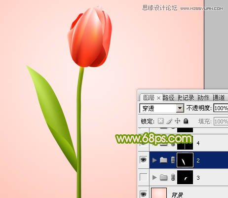Photoshop绘制清新的郁金香花朵教程,PS教程,图老师教程网