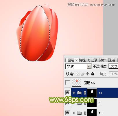 Photoshop绘制清新的郁金香花朵教程,PS教程,图老师教程网