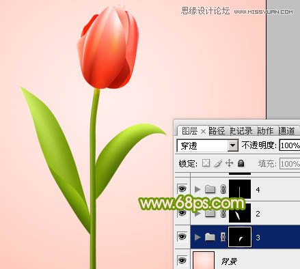 Photoshop绘制清新的郁金香花朵教程,PS教程,图老师教程网