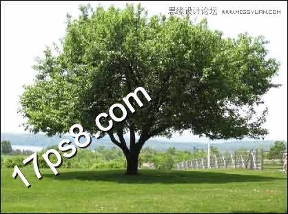 Photoshop使用素材合成云彩下海边孤树,PS教程,图老师教程网