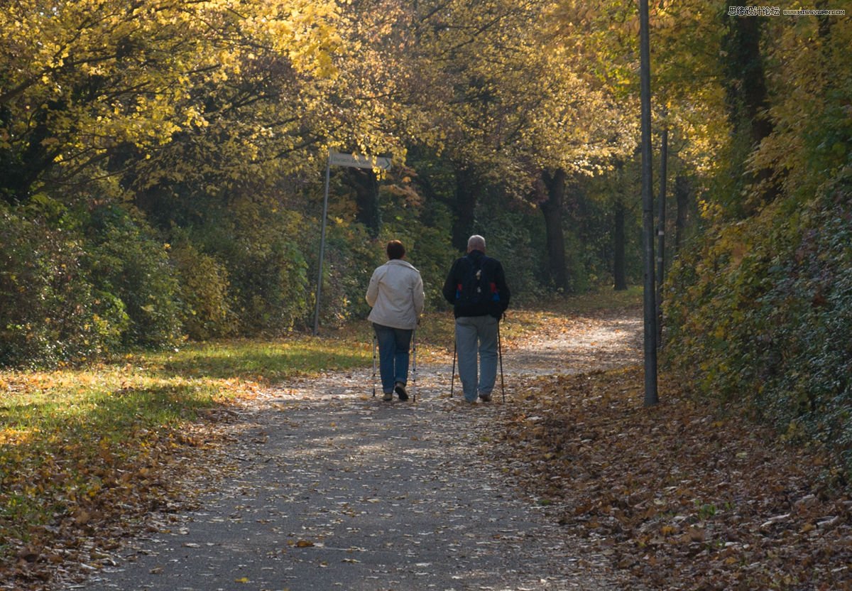 Elderly Couple Walking Outdoors In The Morning Picture And HD Photos ...