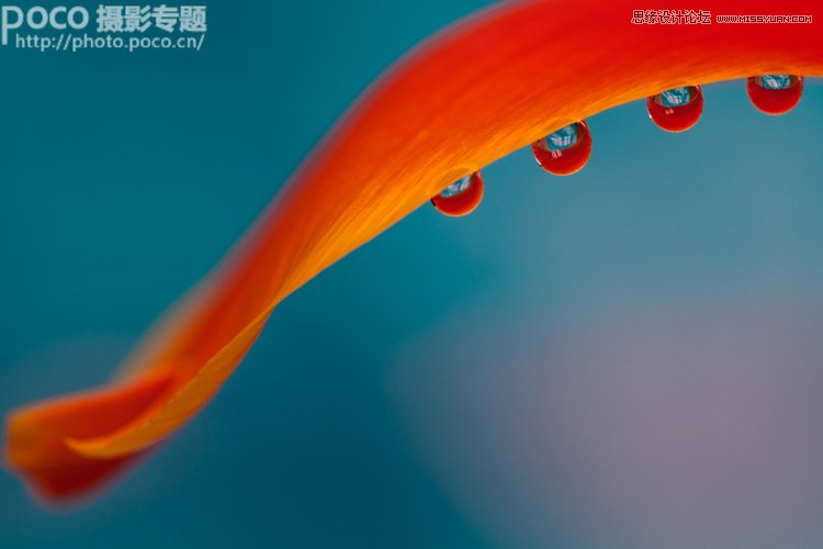 ʵսӰӰеҪ