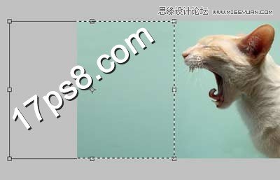 Photoshop合成生化异形喷火猫教程,PS教程,图老师教程网