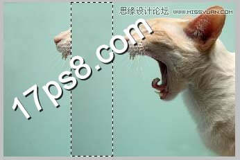 Photoshop合成生化异形喷火猫教程,PS教程,图老师教程网