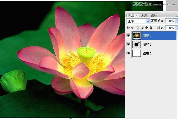 PhotoshopȽɰӦúͼ