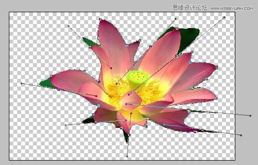PhotoshopȽɰӦúͼ