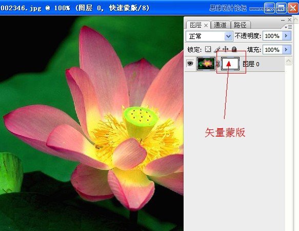 Photoshop深度解析蒙版的应用和技巧,PS教程,图老师教程网