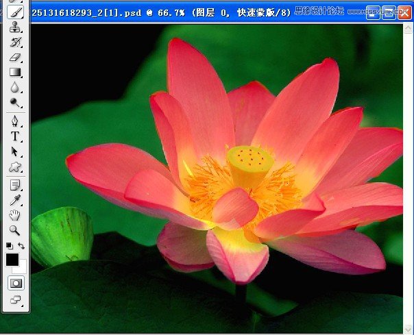 Photoshop深度解析蒙版的应用和技巧,PS教程,图老师教程网