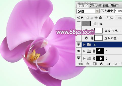 Photoshop绘制漂亮的紫色蝴蝶兰教程,PS教程,图老师教程网