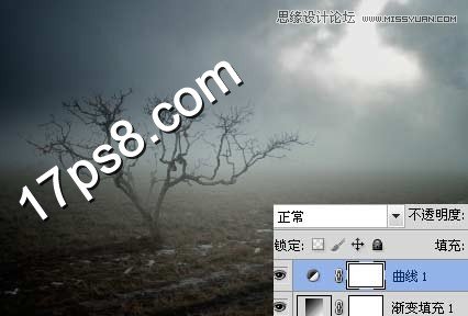 Photoshop合成在野外成长的枯树场景,PS教程,图老师教程网