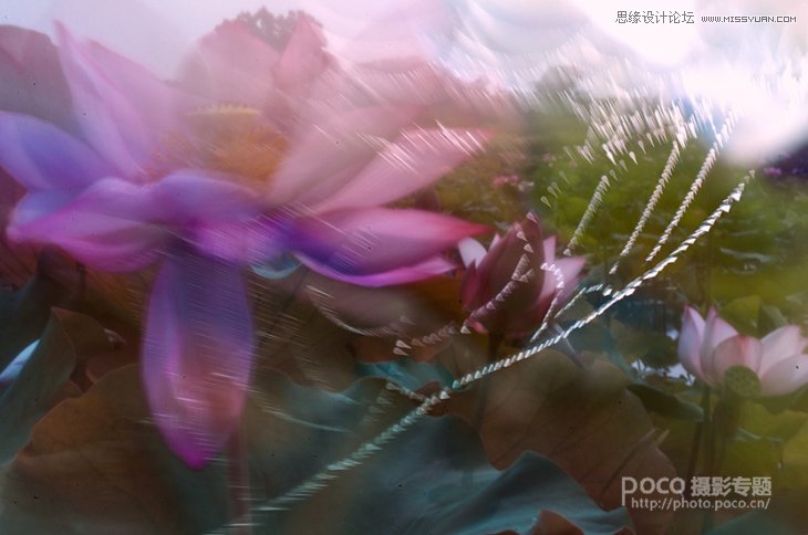 Ӱʦǳ̸ɻ㼼ɽ̳