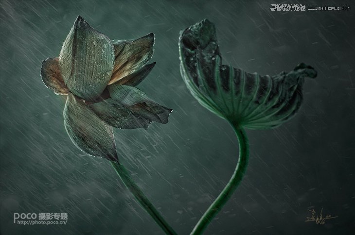 Ӱʦǳ̸ɻ㼼ɽ̳