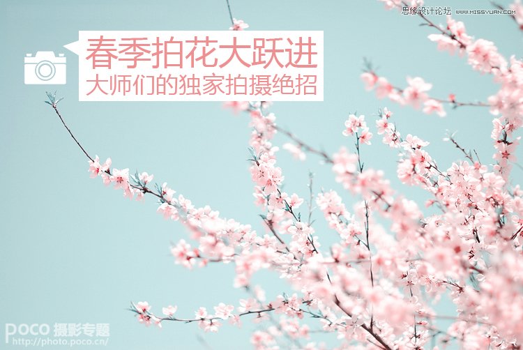 独家摄影绝技之春季花朵摄影