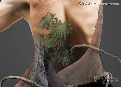 Photoshopϳ峬Ȼɱ䳡