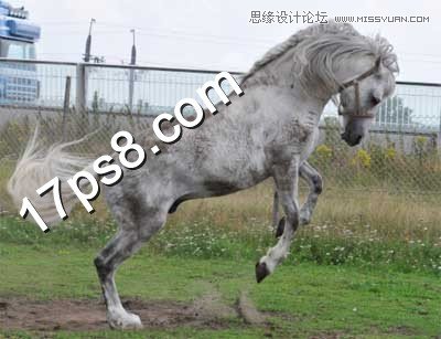 Photoshop合成跳崖轻生的千里马教程,PS教程,图老师教程网