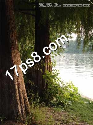PhotoshopϳɭеŮӳ̳
