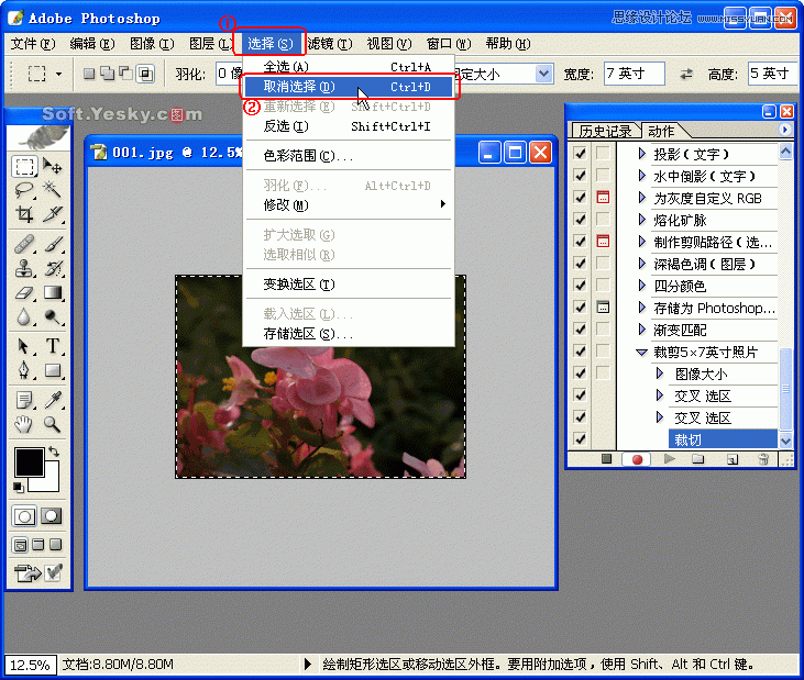 Photoshop巧用动作按比例自动批量裁剪照片,PS教程,图老师教程网