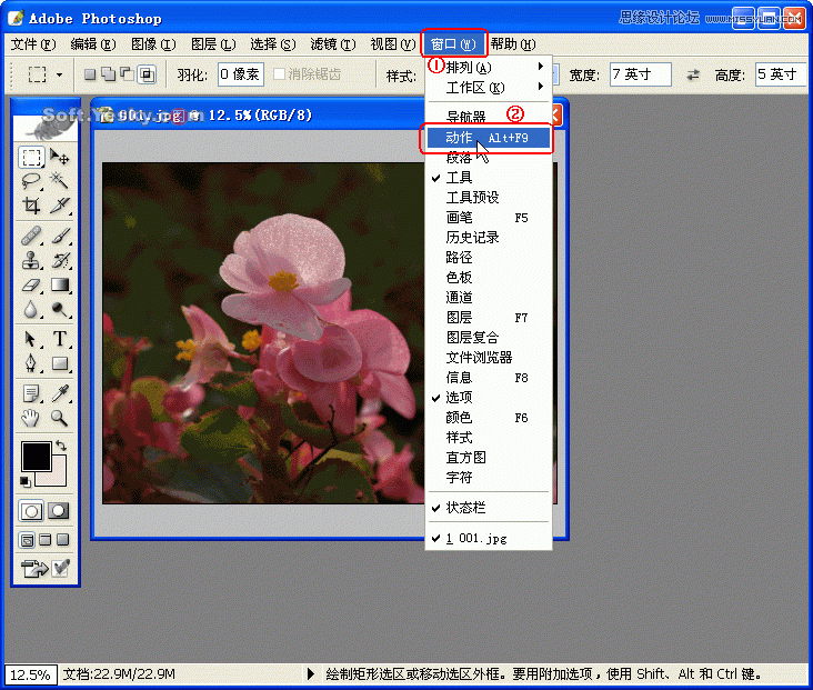 Photoshop巧用动作按比例自动批量裁剪照片,PS教程,图老师教程网