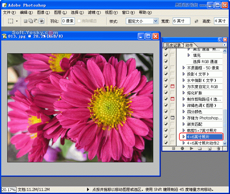 Photoshop巧用动作按比例自动批量裁剪照片,PS教程,图老师教程网