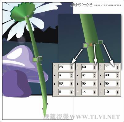 CorelDRAWԲ֮ҹŵǽ̳