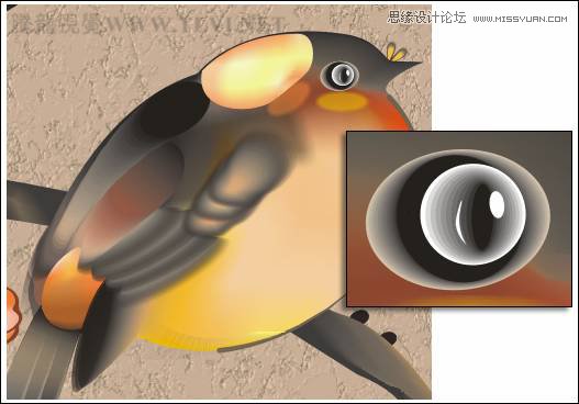 CorelDRAWʵ̳̣й÷ȸͼ̳