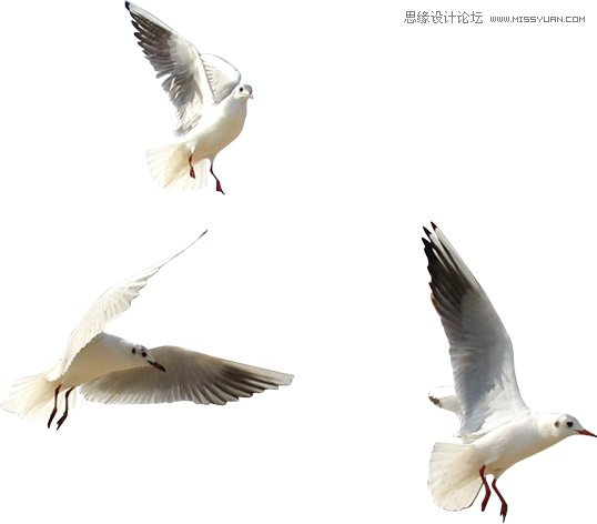 photoshop制作江南水乡不规则倒影效果 - 转载