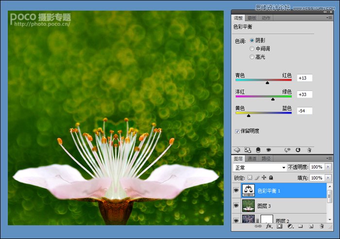 Photoshop调出花朵照片唯美鲜艳色调,PS教程,图老师教程网