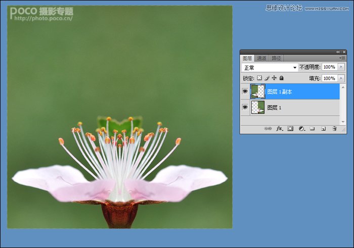 Photoshop调出花朵照片唯美鲜艳色调,PS教程,图老师教程网