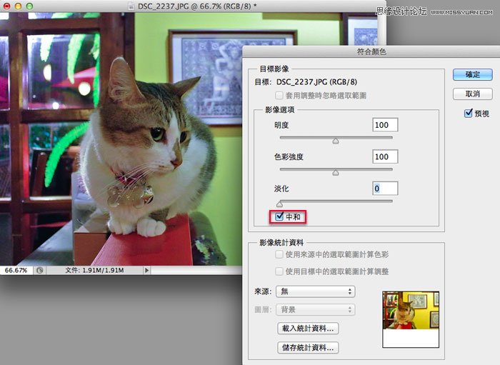 Photoshop给偏色的猫咪照片校色,PS教程,图老师教程网