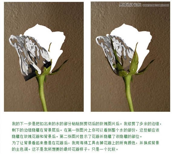 Photoshop把玫瑰花转化成水花花朵效果,PS教程,图老师教程网