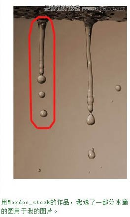 Photoshop把玫瑰花转化成水花花朵效果,PS教程,图老师教程网