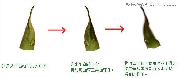 Photoshop把玫瑰花转化成水花花朵效果,PS教程,图老师教程网