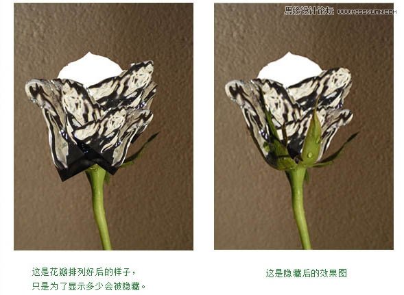 Photoshop把玫瑰花转化成水花花朵效果,PS教程,图老师教程网