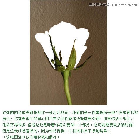Photoshop把玫瑰花转化成水花花朵效果,PS教程,图老师教程网