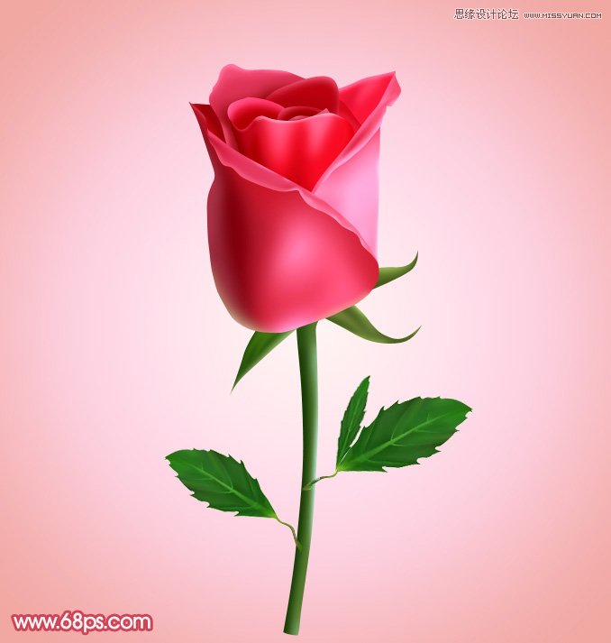 Photoshop绘制含苞欲放的鲜嫩红玫瑰,PS教程,图老师教程网