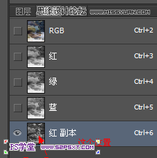 Photoshop使用通道把动物照片变清晰效果,PS教程,图老师教程网