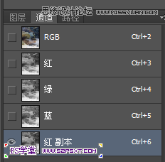 Photoshop使用通道把动物照片变清晰效果,PS教程,图老师教程网