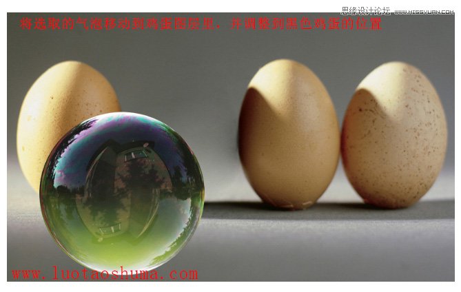 Photoshop打造透明形态的鸡蛋创意合成教程,PS教程,图老师教程网