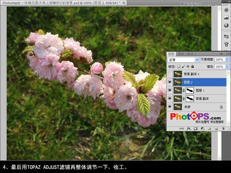 Photoshop给梅花图片换上斑斓梦幻的背景,PS教程,图老师教程网