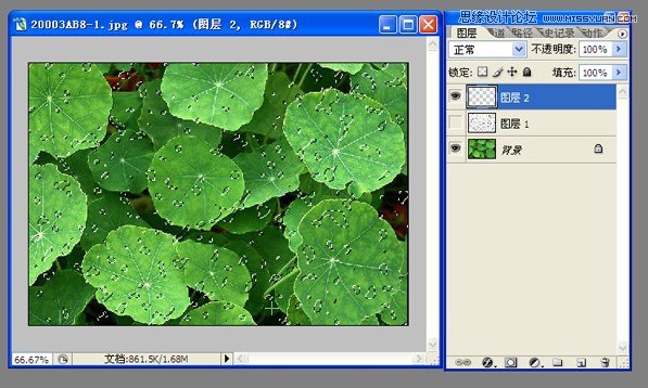 Photoshop绘制荷叶上逼真的水滴效果,PS教程,图老师教程网