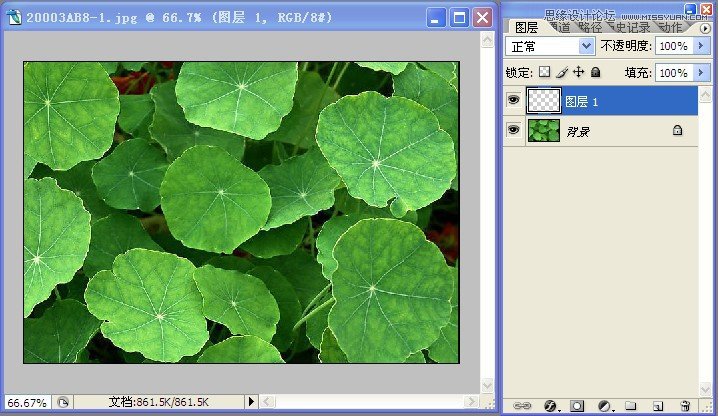 Photoshop绘制荷叶上逼真的水滴效果,PS教程,图老师教程网