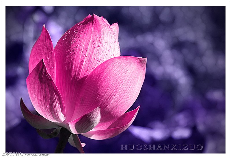 Photoshop绘制梦幻紫色风格的花朵教程,PS教程,图老师教程网