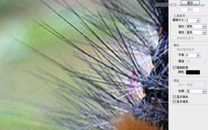 Photoshop使用抽出滤镜抠出多刺的毛虫,PS教程,图老师教程网